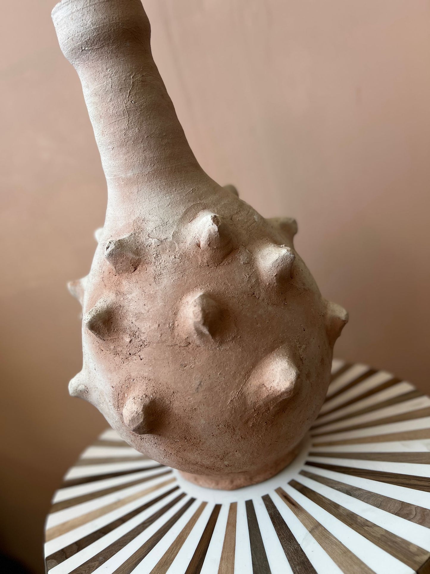 Rustieke terracotta vaas met karakteristieke stekels en smalle hals, handgemaakt en artistiek imperfect.
